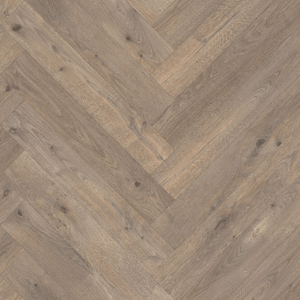0104 F Palmer Oak #6