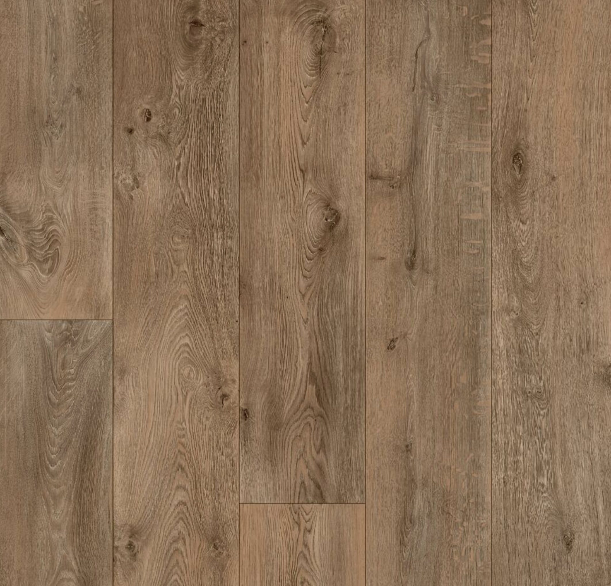 Station Oak Peanut 631M Swatch