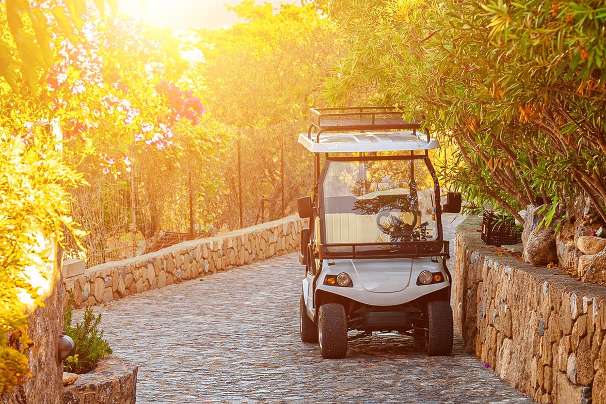 Custom Golf Cart